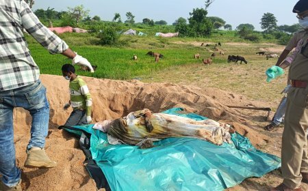 तर्रा में महिला की संदिग्ध मौत, चार दिन बाद कब्र से निकाला गया शव