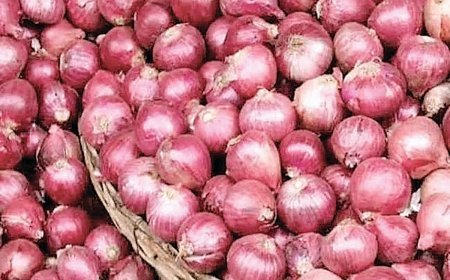 Onion Price Surge: 3 महीने में 82% महंगा हुआ प्याज, नई फसल की आवक बढ़ने पर मिल सकती है राहत