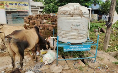 अंबागढ़ चौकी में सफाई व्यवस्था बदहाल, सार्वजनिक शौचालयों और कचरा उठाव को लेकर नागरिकों में नाराजगी