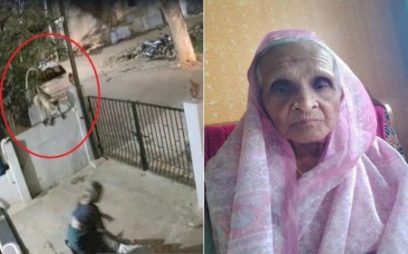 कर्नाटक में बंदर के धक्के से 91 वर्षीय महिला की मौत, CCTV में कैद हुई घटना