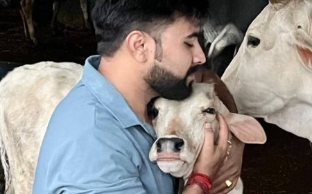 3 वर्षों से निरंतर जारी गौसेवा का संकल्प, घायल गौवंश के उपचार के लिए आमजन से सहयोग की अपील
