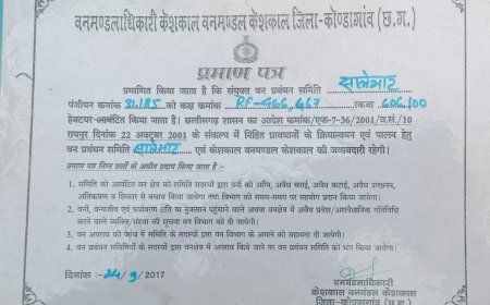 चिपरेल में वनभूमि पर कथित अतिक्रमण का विवाद, छह महीने से समाधान का इंतजार
