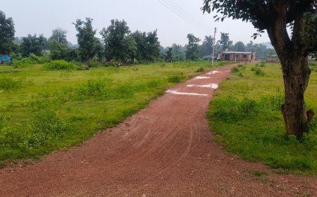 शासकीय कर्मचारियों पर अवैध प्लाटिंग में शामिल होने के आरोप, मोहला में जमीन कारोबार को लेकर उठे सवाल