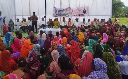 मोंगरा डेम के पास 600 पौधों का पौधारोपण, पर्यावरण संरक्षण का दिया संदेश