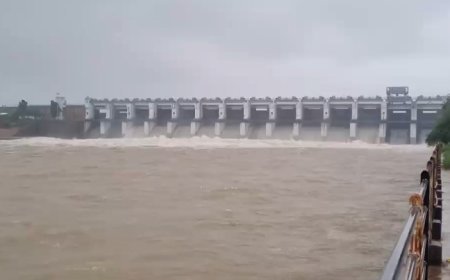 जलाशयों में बढ़ा जलस्तर, महानदी में छोड़ा जा रहा बड़ी मात्रा में पानी; तटीय गांवों में अलर्ट