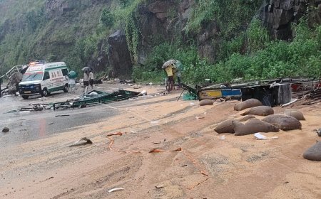 मरकाटोला घाट में खड़े वाहन को ट्रक ने मारी टक्कर, हादसे में 6 की मौत, 7 घायल