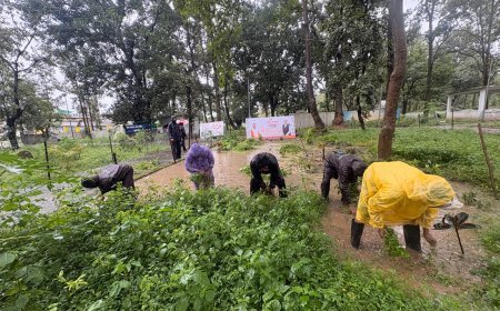 सेवा मेरा योगदान एवं स्वच्छता ही सेवा अभियान के तहत फरसगांव में चला विशेष स्वच्छता अभियान