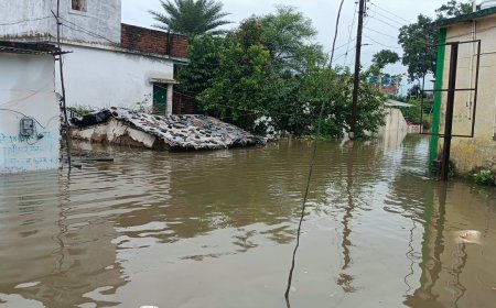 तांदुला नदी किनारे निचली बस्ती में भरा पानी, लोगों को सुरक्षित जगह पहुंचाने की तैयारी