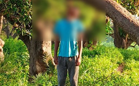 गरियाबंद में 19 वर्षीय युवक ने पेड़ पर फांसी लगाकर की आत्महत्या, जांच में जुटी पुलिस