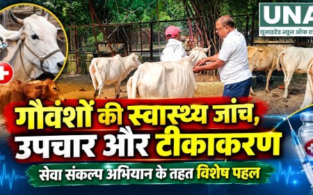 सेवा संकल्प अभियान के तहत गौवंशों की स्वास्थ्य जांच, उपचार और टीकाकरण