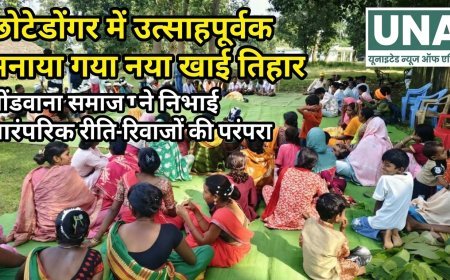 छोटेडोंगर में उत्साहपूर्वक मनाया गया नया खाई तिहार, गोंडवाना समाज ने निभाई पारंपरिक रीति-रिवाजों की परंपरा