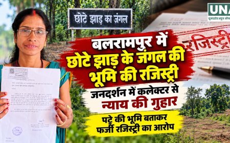 बलरामपुर में छोटे झाड़ के जंगल की जमीन की रजिस्ट्री का आरोप, जनदर्शन में कलेक्टर से न्याय की गुहार