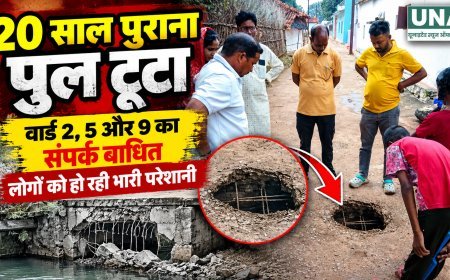 20 साल पुराना पुल टूटा, वार्ड 2, 5 और 9 का संपर्क बाधित, आवागमन में बढ़ी परेशानी