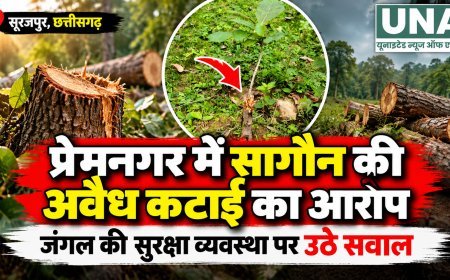 प्रेमनगर के जंगल में सागौन की कथित अवैध कटाई, ग्रामीणों ने वन विभाग से जांच की मांग की