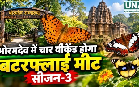 भोरमदेव में चार वीकेंड होगा बटरफ्लाई मीट सीजन-3, तितलियों की दुनिया से रूबरू होंगे प्रकृति प्रेमी