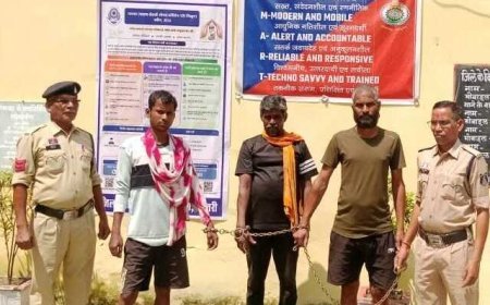 धमतरी में गौ-तस्करी पर पुलिस की कार्रवाई, 32 गोवंश मुक्त कराए गए, 3 आरोपी गिरफ्तार