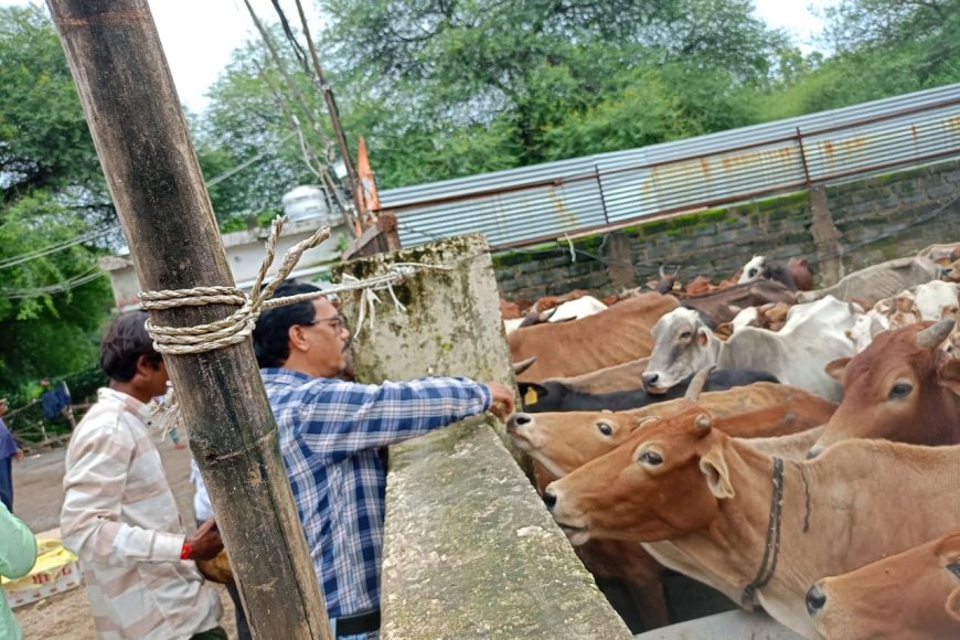 महापौर मीनल चौबे के निर्देश पर फुण्डहर गोधाम का निरीक्षण, गौवंश की सेवा के साथ भूमि समतलीकरण कार्य जारी
