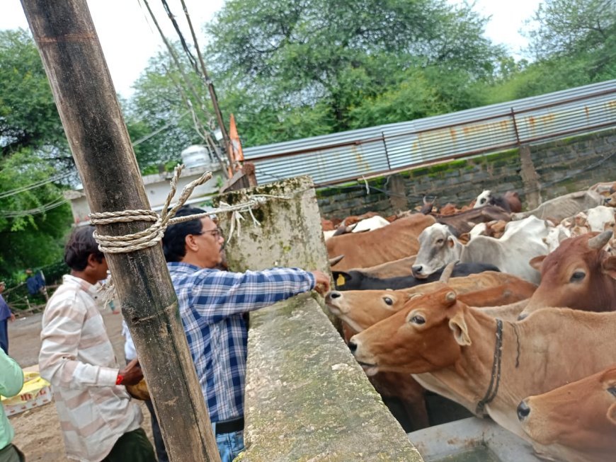 महापौर मीनल चौबे के निर्देश पर फुण्डहर गोधाम का निरीक्षण, गौवंश की सेवा के साथ भूमि समतलीकरण कार्य जारी