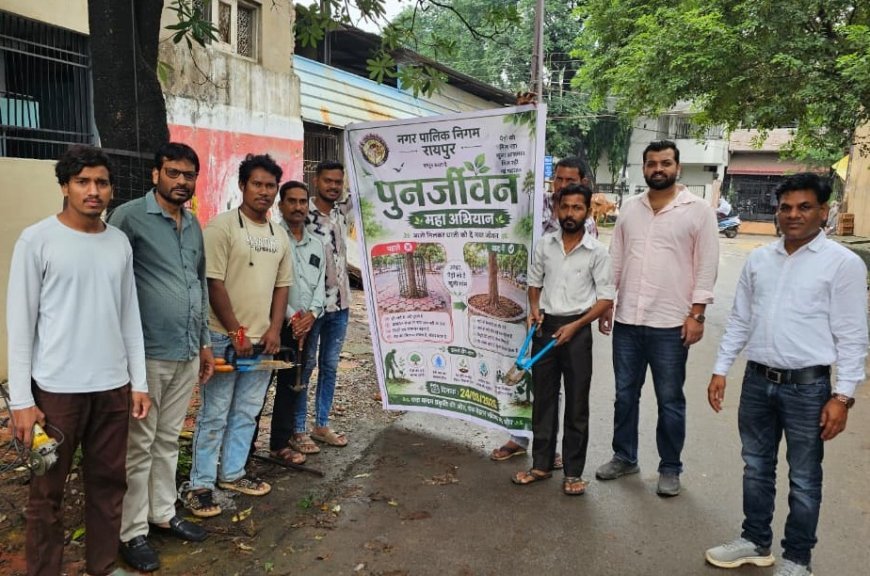 प्रोजेक्ट पुनर्जीवन महाभियान: रायपुर में 2861 ट्री गार्ड और 1400 कांक्रीट घेरे-पेवर हटाए गए