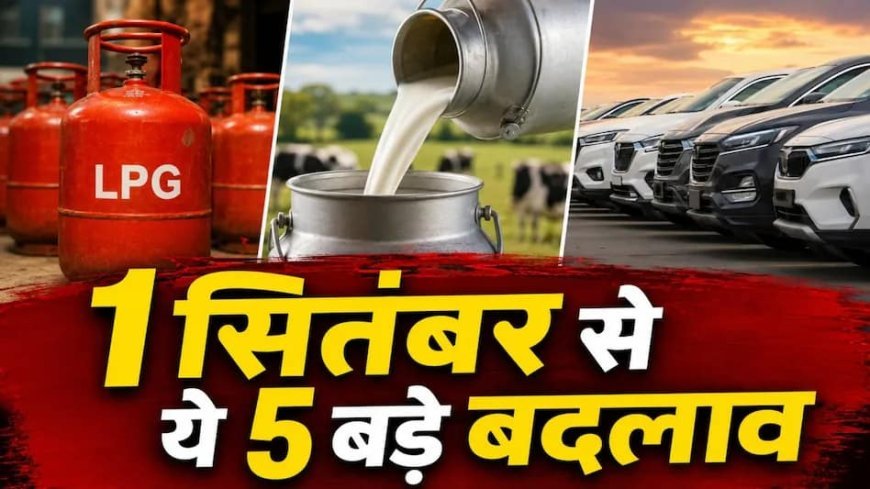 1 सितंबर से लागू हुए 5 बड़े बदलाव, LPG सिलेंडर से लेकर कार और दूध तक महंगा