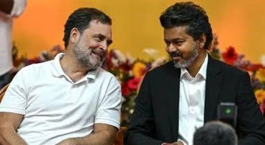 CM विजय ने राहुल गांधी को PM पद का उम्मीदवार चुना, कांग्रेस का दावा; TVK से विवाद से किया इनकार