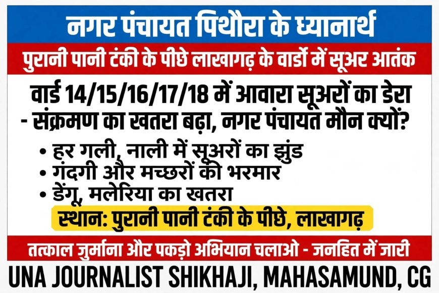 लाखागढ़ में आवारा पशुओं और सुअरों से बढ़ी परेशानी, गंदगी और बीमारी के खतरे के बीच कार्रवाई की मांग