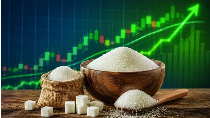 Sugar Stocks: अगस्त में चीनी शेयरों की धूम, 59% तक चढ़े स्टॉक्स, Avadh Sugar ने दिया सबसे ज्यादा रिटर्न