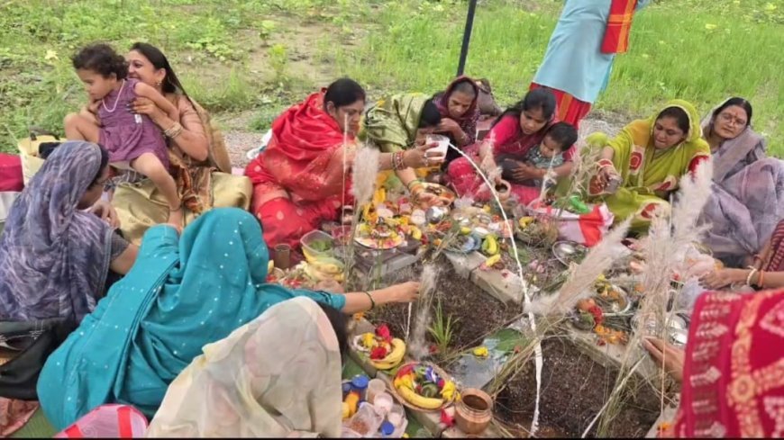 दुर्ग के गणपति विहार कॉलोनी फेस-4 में हर्षोल्लास से मनाया गया हलषष्ठी पर्व, महिलाओं ने संतान की सुख-समृद्धि के लिए रखा व्रत