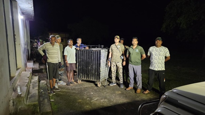 बालोद में रानीमाई मंदिर के पास घूम रहा घायल भालू पकड़ा गया, इलाज के लिए रायपुर जंगल सफारी भेजा