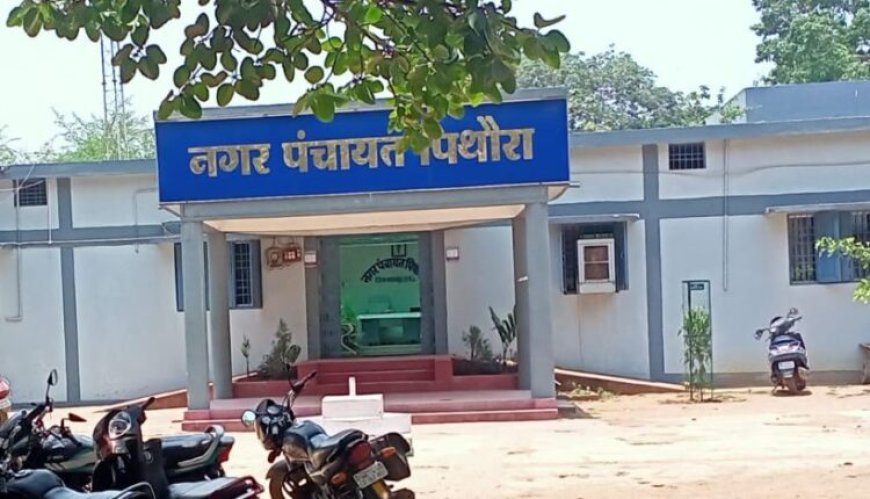पिथौरा में मृत सुअर 15 घंटे तक पड़ा रहने का आरोप, लाखागढ़ तालाब क्षेत्र में गंदगी और संक्रमण के खतरे पर उठे सवाल