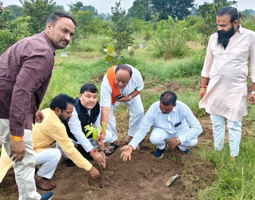 चांद मोक्षधाम में रोपे पौधे, 11 हजार से अधिक वृक्षारोपण का लिया महासंकल्प
