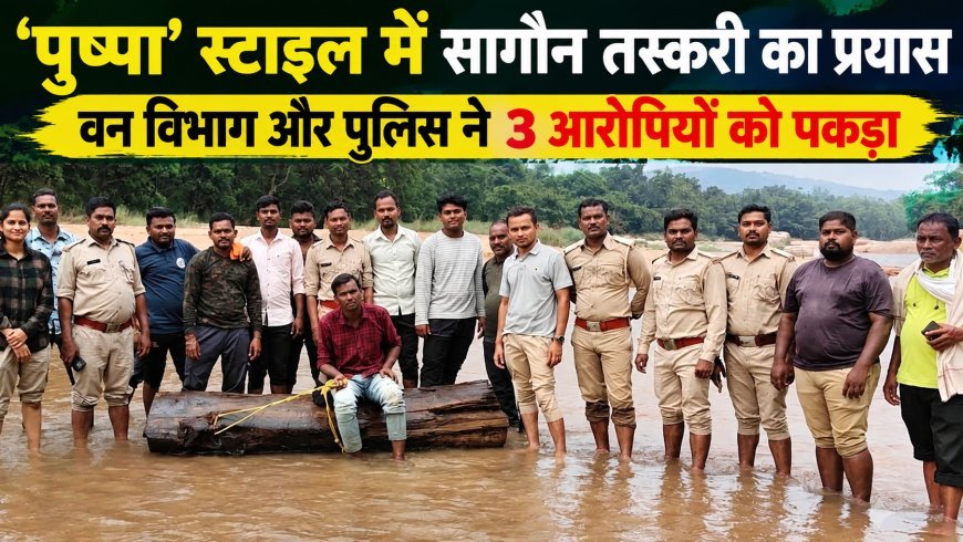 ‘पुष्पा’ स्टाइल में सागौन तस्करी का प्रयास, वन विभाग और पुलिस ने 3 आरोपियों को पकड़ा