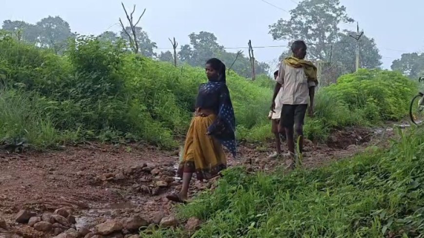 विकास के दावों के बीच दर्दनाक तस्वीर: बीमार बच्चों के इलाज के लिए पैदल चलने को मजबूर मां