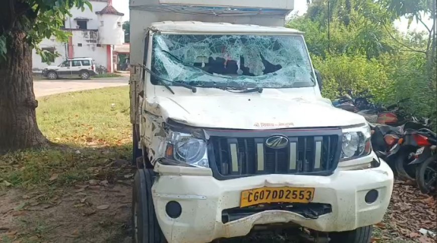 नगरी में भैंसों से भरी पिकअप पलटी, दो गिरफ्तार; दस्तावेज नहीं मिले