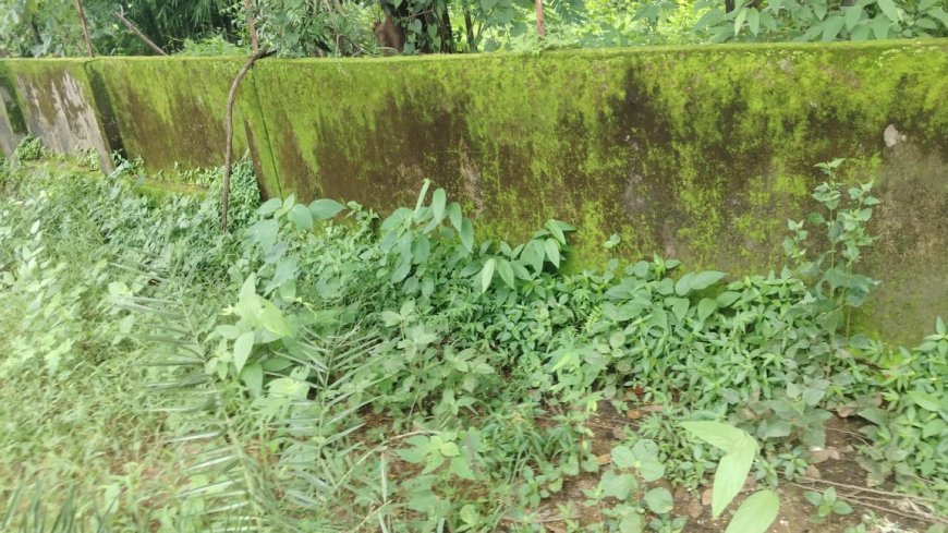सावेर पंचायत में कथित भ्रष्टाचार के आरोप, ग्रामीणों ने जांच और कार्रवाई की मांग उठाई