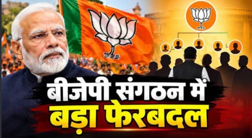 बीजेपी संगठन में बड़ा फेरबदल, हरीश द्विवेदी को युवा मोर्चा तो डी. पुरंदेश्वरी को महिला मोर्चा की जिम्मेदारी