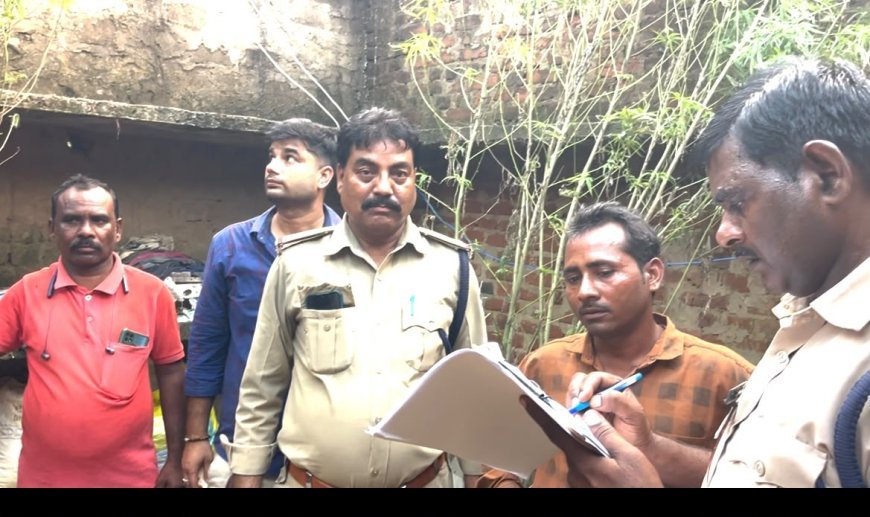 घर की बाउंड्री में उगा रखा था गांजा, चितरंगी पुलिस ने आरोपी को किया गिरफ्तार