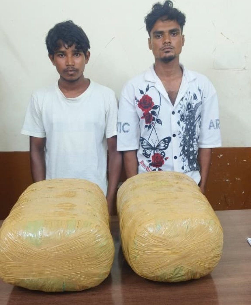 रायपुर में 18.33 किलो गांजा के साथ दो तस्कर गिरफ्तार, 9.36 लाख रुपए की जप्ती