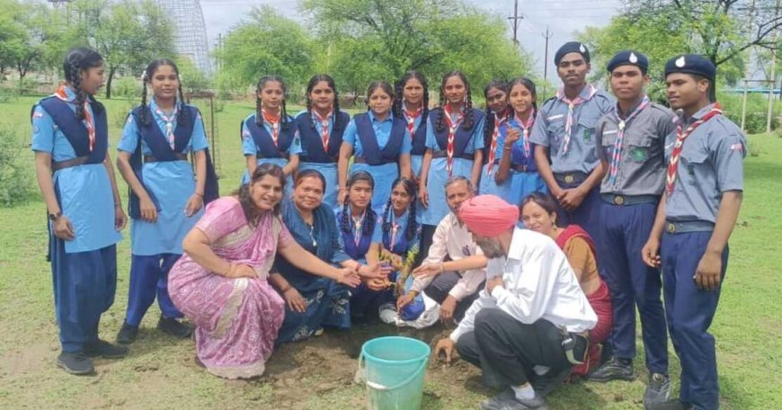 कबीरधाम के सभी स्कूलों में एक साथ हुआ वृक्षारोपण, स्काउट-गाइड विद्यार्थियों ने लिया पौधों की देखरेख का संकल्प