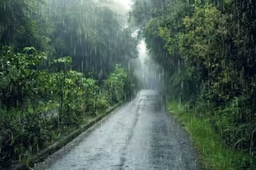 CG Weather Today: छत्तीसगढ़ में कमजोर पड़ा मानसून, रायपुर में बढ़ी गर्मी; 4 दिन बाद बारिश बढ़ने के संकेत