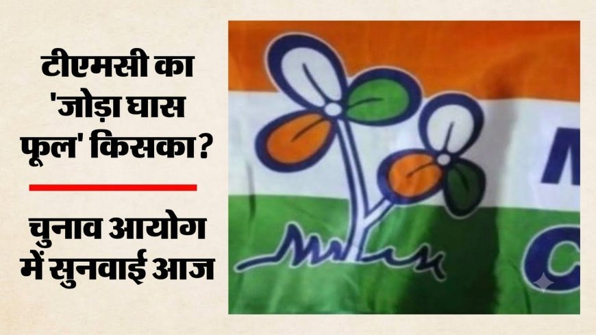 TMC ‘जोड़ा घास फूल’ चुनाव चिह्न विवाद पर आज सुनवाई, ममता और ऋतब्रत गुट चुनाव आयोग के सामने रखेंगे पक्ष