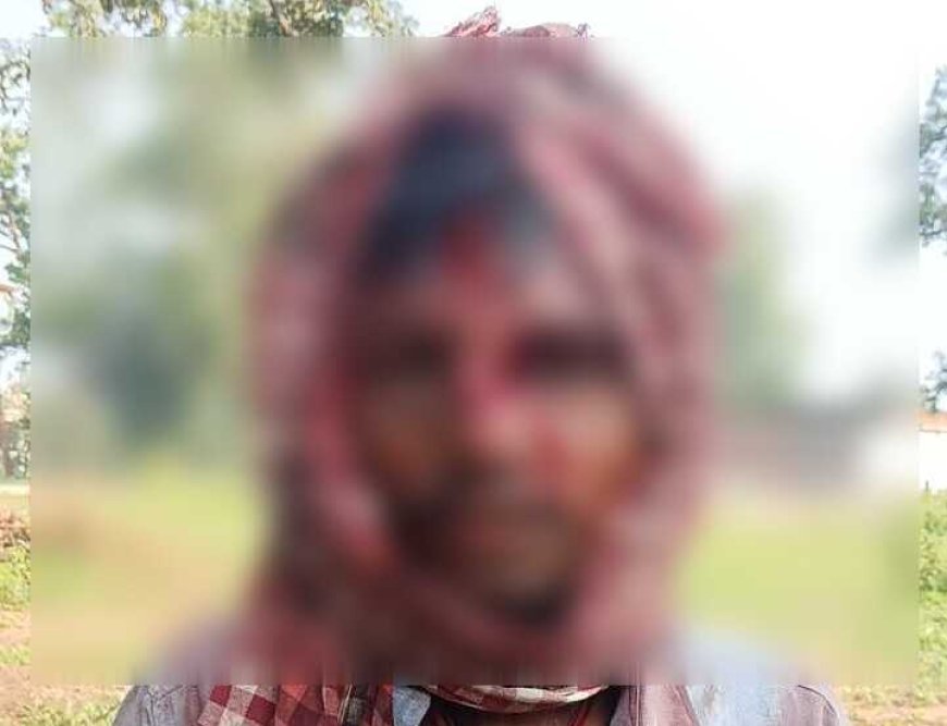 उदंती सीतानदी टाइगर रिजर्व में दो युवकों पर भालुओं का हमला, एक घायल