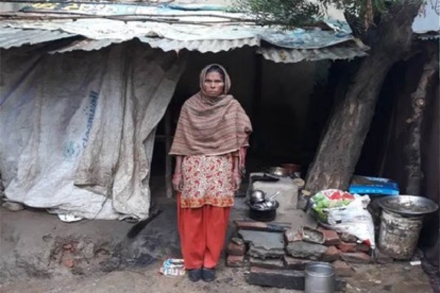 कच्चा मकान ढहा तो गौशाला के टीन शेड में रहने को मजबूर बुजुर्ग आदिवासी महिला, PM आवास का इंतजार
