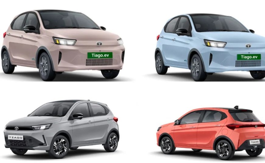 Modular Platform: एक ही Chassis पर कैसे बनती हैं हैचबैक से लेकर प्रीमियम SUV, समझिए ऑटो कंपनियों की रणनीति