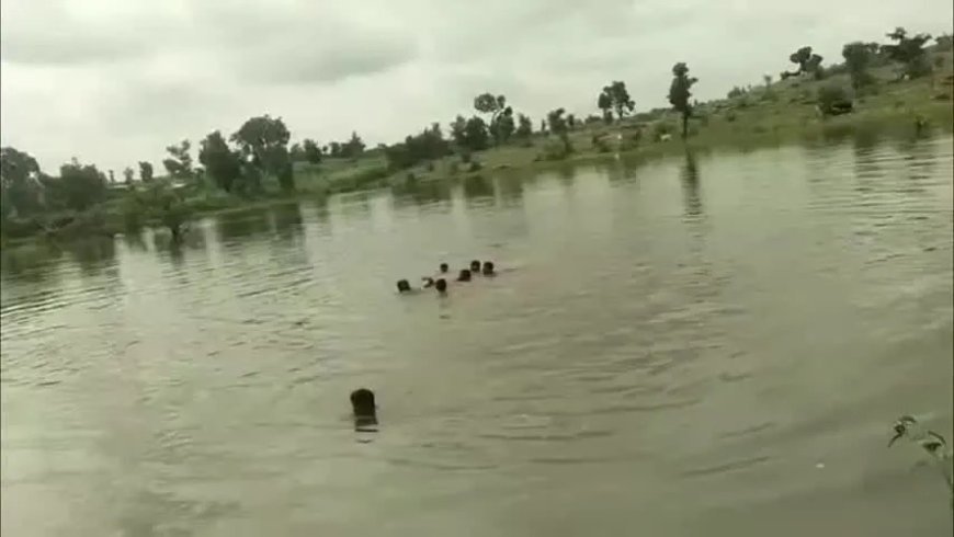 छतरपुर में तलैया में डूबने से युवक और किशोर की मौत