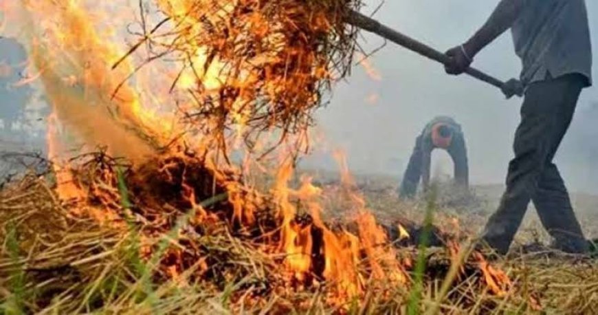 पराली जलाने पर अब कसेगा शिकंजा, खेत 15 महीने तक रहेगा रेड कैटेगरी में