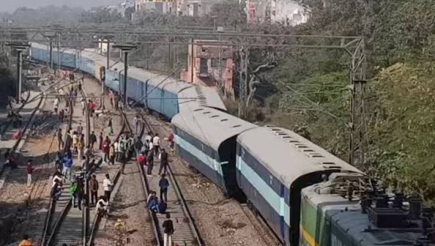 भानुप्रतापपुर में ट्रेन-ट्रक की चपेट में आने से 14 मवेशियों की मौत, मुआवजे की कार्रवाई शुरू
