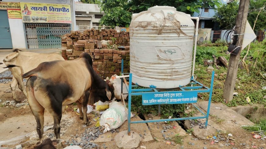 अंबागढ़ चौकी में सफाई व्यवस्था बदहाल, सार्वजनिक शौचालयों और कचरा उठाव को लेकर नागरिकों में नाराजगी