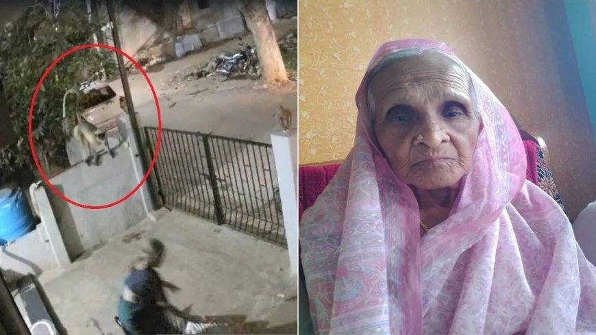 कर्नाटक में बंदर के धक्के से 91 वर्षीय महिला की मौत, CCTV में कैद हुई घटना