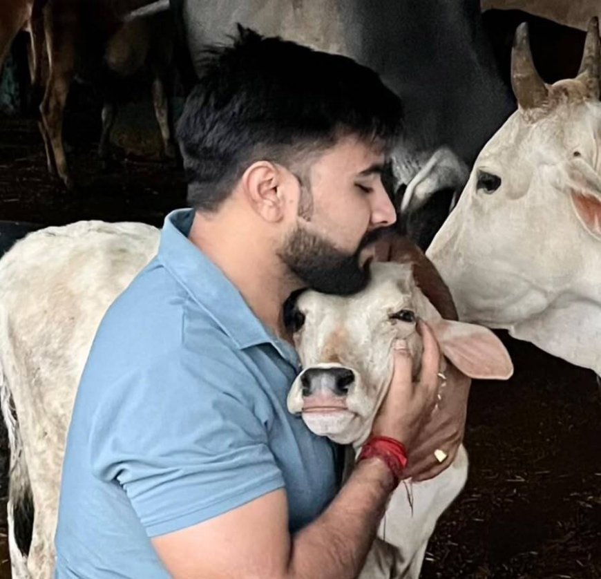 3 वर्षों से निरंतर जारी गौसेवा का संकल्प, घायल गौवंश के उपचार के लिए आमजन से सहयोग की अपील